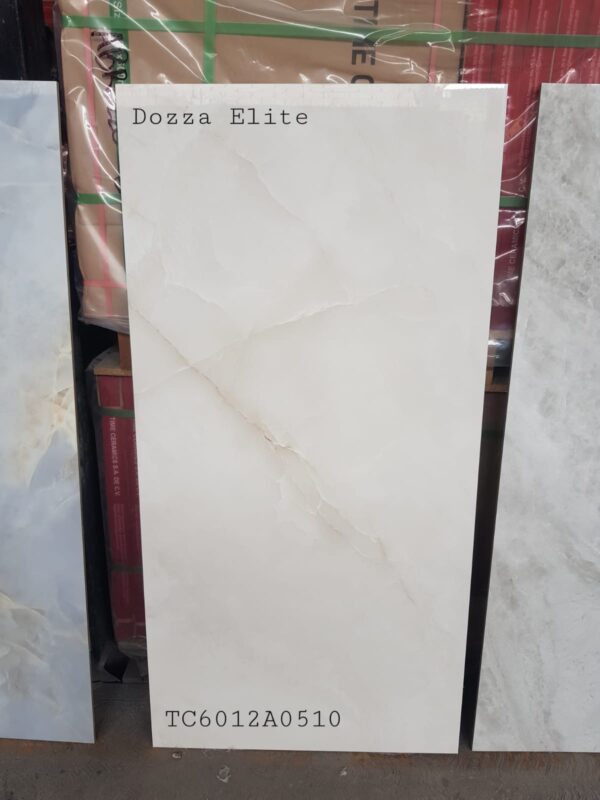 Porcelanato Dozza Elite